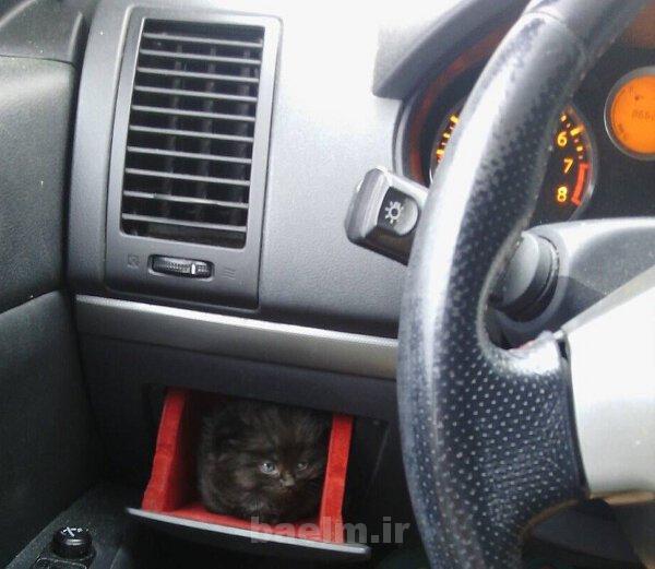 ديدنيها | عكسهاي جالب و ديدني روزانه | پنجشنبه 13 شهريور