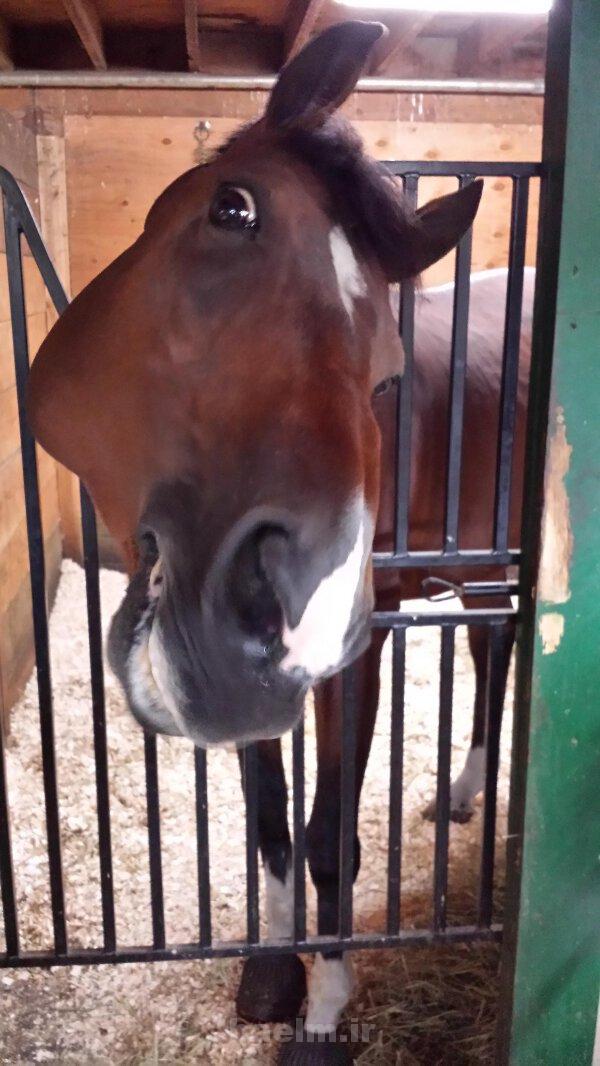 ديدني ها | تصاوير جالب و ديدني روزانه | روز 22 شهريور