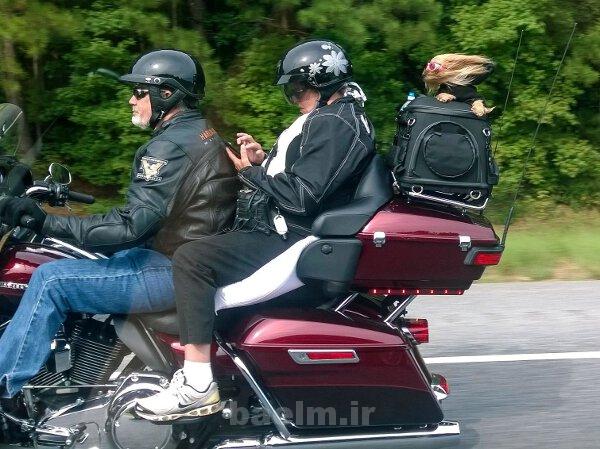 عكس جالب | تصاوير جالب و خنده دار روزانه | 10 مهر | ديدنيها