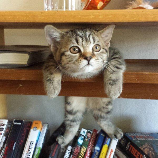 عكس | تصاوير جالب و ديدني روزانه | 9 مهر | ديدني ها