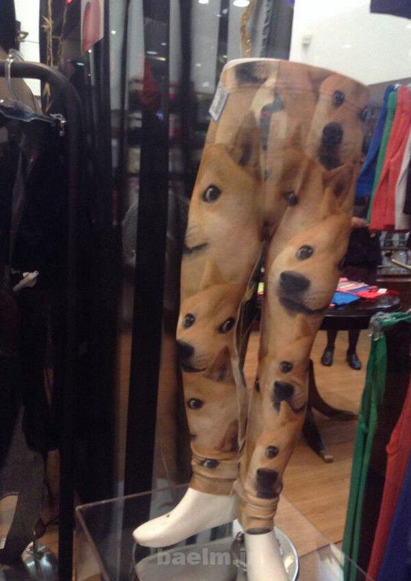 عكس | تصاوير جالب و ديدني روزانه | 9 مهر | ديدني ها