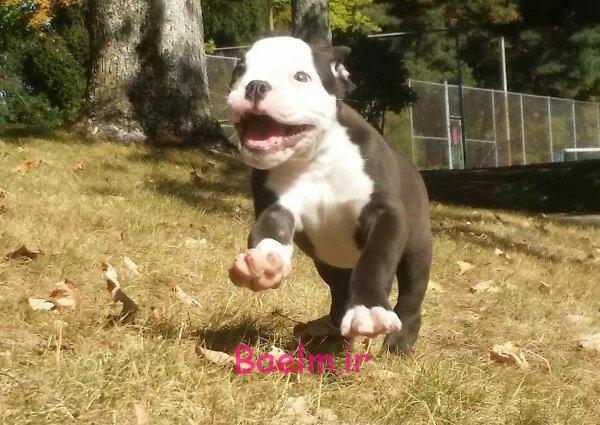 تصاوير جالب و ديدني روزانه | روز 17 مهر ماه | تصاوير خنده دار تصاوير جالب و ديدني روزانه | روز 17 مهر ماه | تصاوير خنده دار