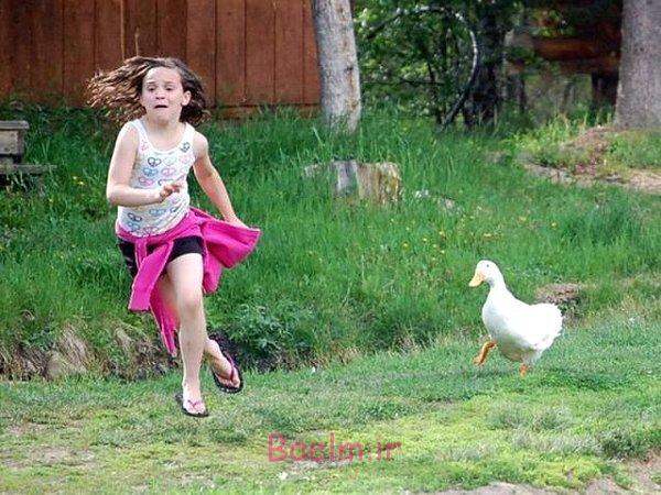 ديدني ها | عكس هاي جالب و خنده دار نيمه اول آبان ماه سري سوم picdump 1224 (14)