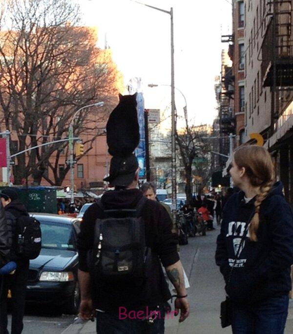 ديدني ها | عكس هاي جالب و خنده دار نيمه اول آبان ماه سري سوم picdump 1224 (2)