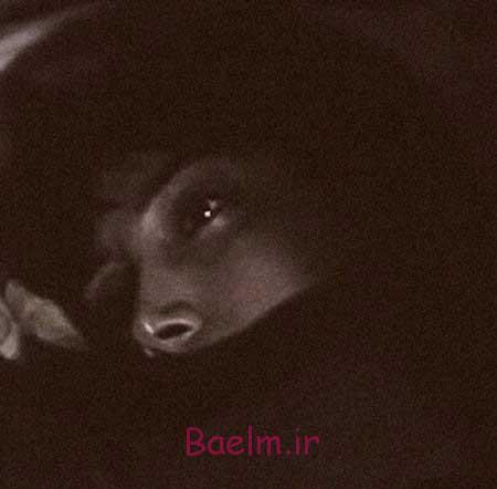 اخبار,اخبار فرهنگی ,چهره ها در شبکه‌های اجتماعی