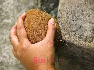 نحوه باز کردن نارگیل,آموزش باز کردن نارگیل