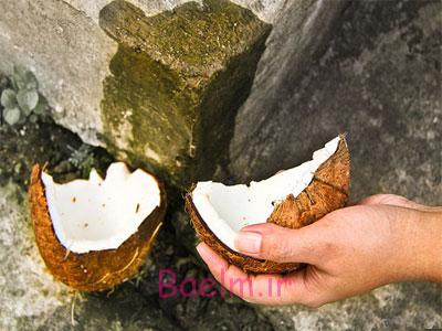 نحوه باز کردن نارگیل,آموزش باز کردن نارگیل