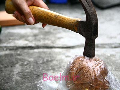 نحوه باز کردن نارگیل,آموزش باز کردن نارگیل