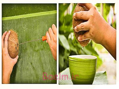 نحوه باز کردن نارگیل,آموزش باز کردن نارگیل