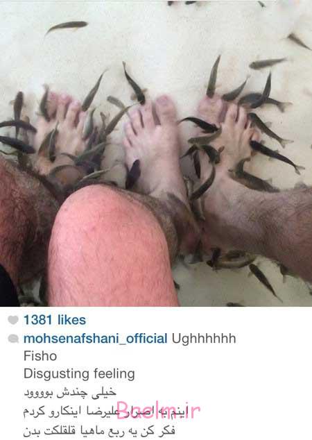 اخبار,اخبار فرهنگی ,چهره ها در شبکه‌های اجتماعی