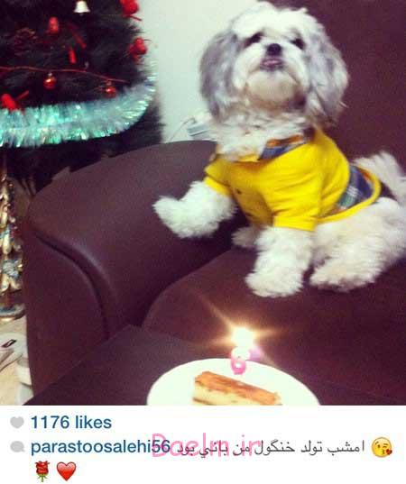 اخبار,اخبار فرهنگی ,چهره ها در شبکه‌های اجتماعی