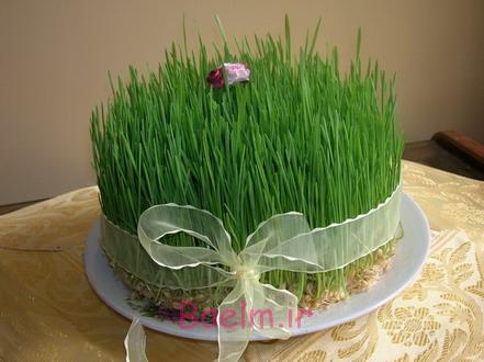 آموزش درست كردن سبزه بشقابي و سبزه كوزه اي ( كوزه ي سبزه ) | نوروز 94 آموزش درست كردن سبزه بشقابي و سبزه كوزه اي ( كوزه ي سبزه ) | نوروز 94