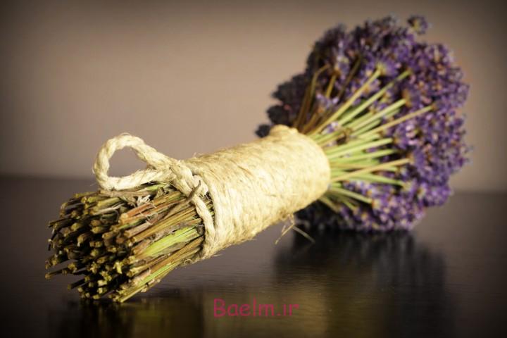 طرز تهیه چند نوع اسکراب بدن، ماسک صورت و روغن حمام در خانه اسطوخودوس و زیبایی