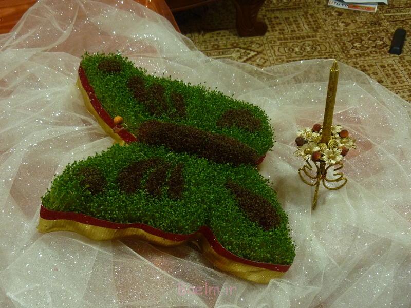 آموزش سبز کردن سبزه | سبزه عید درست کردن سبزه 95