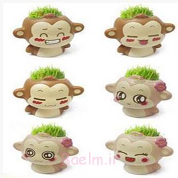 ظرف کاشت سبزه,کاشت سبزه میمون