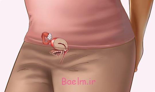 بارداري هفته به هفته | هفته سوم بارداری بارداري هفته به هفته | هفته سوم بارداری