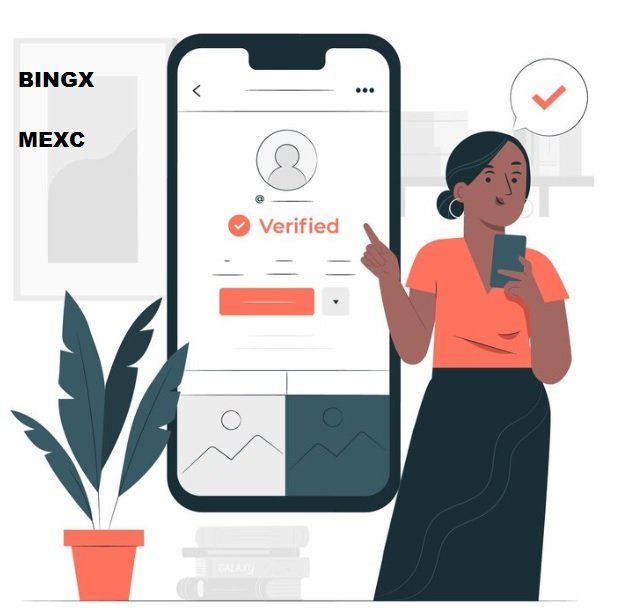 مقایسه صرافی مکسی و بینگ ایکس bingx bing x