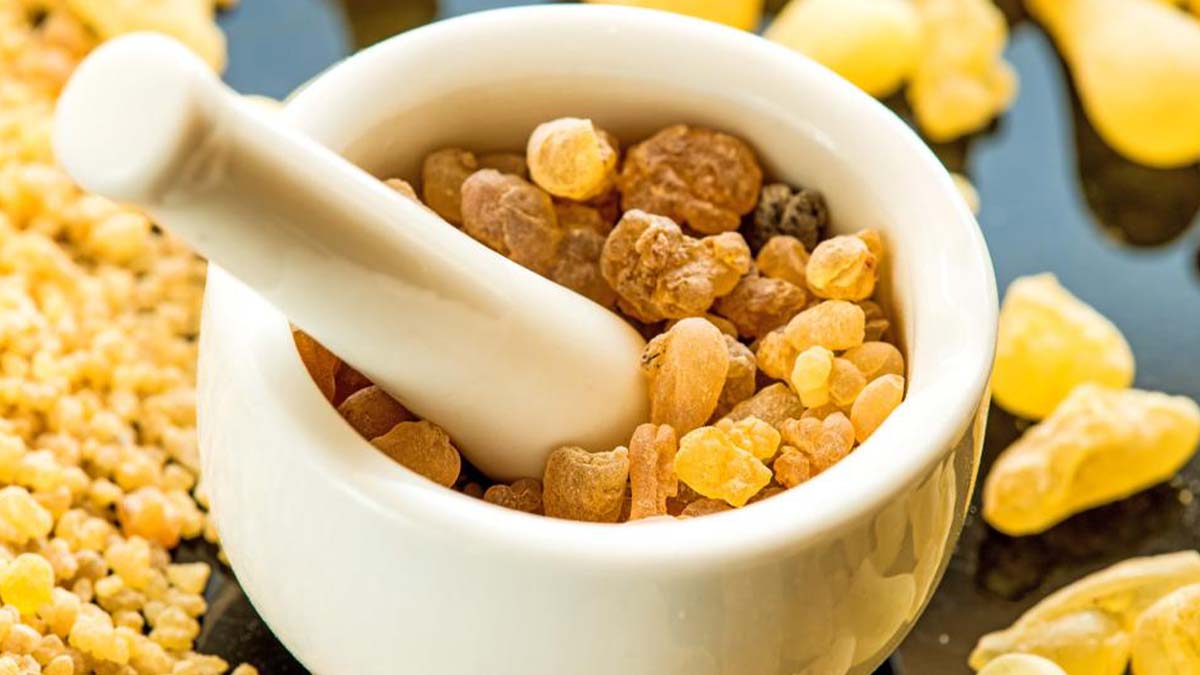 بهترین طریقه مصرف کندر برای تقویت حافظه + زمان طلایی مصرف کندر به صورت کوبیده