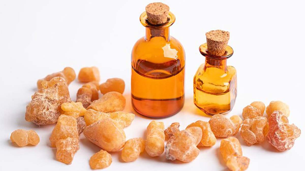 بهترین طریقه مصرف کندر برای تقویت حافظه + زمان طلایی استفاده از کندر به صورت روغن