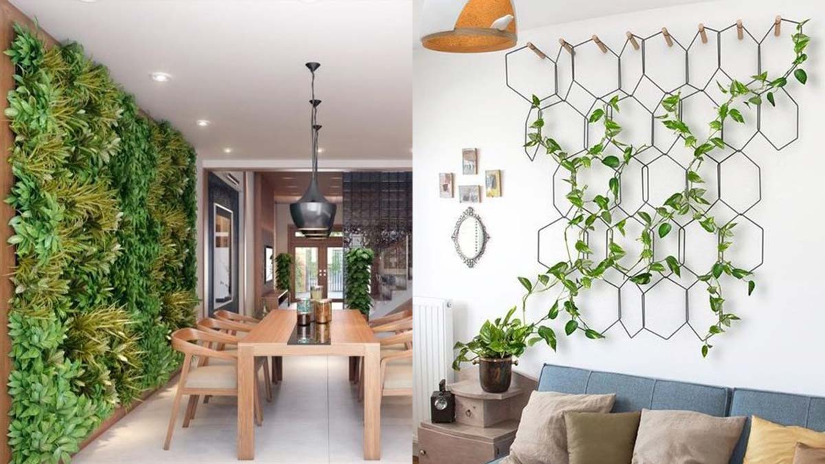 وسایلی که خانه را شیک می کند؟ (لیست لوازم ارزان و ساده) استفاده از گیاهان مختلف برای شیک و مدرن کردن منزل