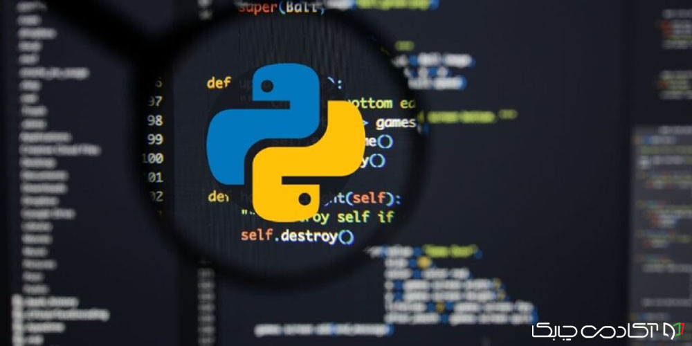 بازار کار پایتون در خارج از کشور: فرصت‌ها، درآمدها و مسیرهای شغلی